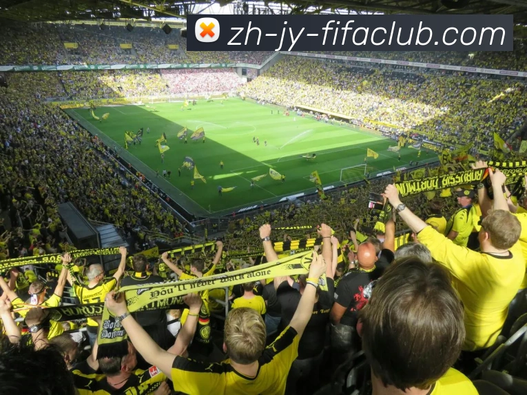 世界杯买球APP 封面图